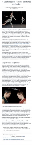 Capilotractées / Le Monde, 1 avril 2015